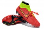 MAGISTA OBRA FG [R. 5]
