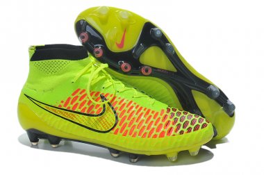 MAGISTA OBRA FG [R. 6]