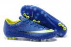 MERCURIAL VICTORY AG [Ref. 16]