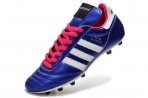 COPA MUNDIAL FG [R. 01]