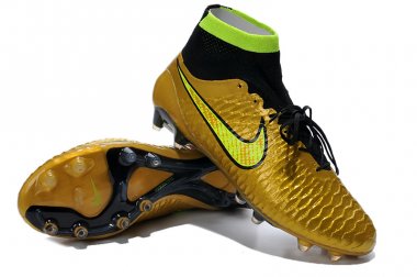 MAGISTA OBRA FG [R. 1]