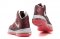 Lebron X [H. 09]